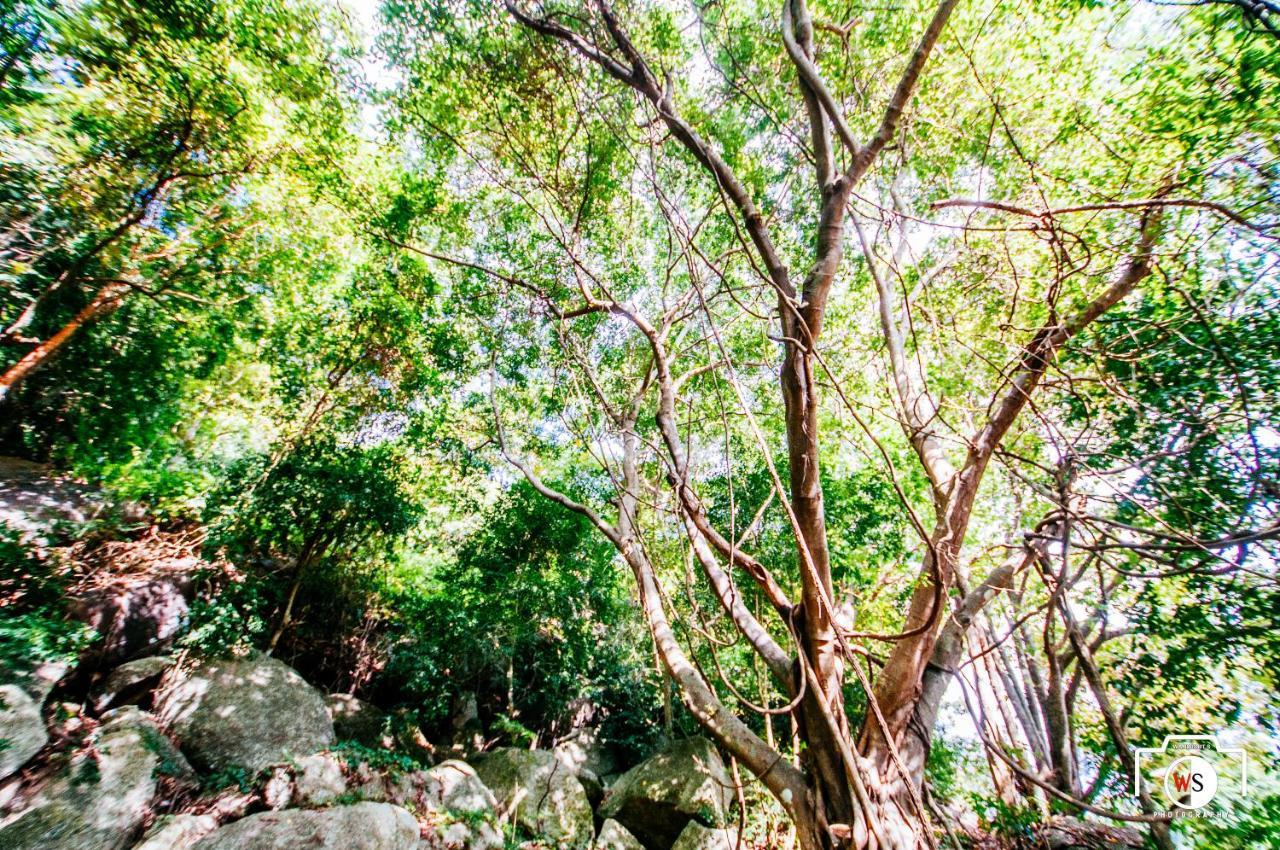 Venus Resort Haad Rin Ngoại thất bức ảnh